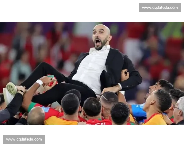 摩洛哥与荷兰激战四十强赛两队谁能晋级世界杯半决赛决胜时刻来临