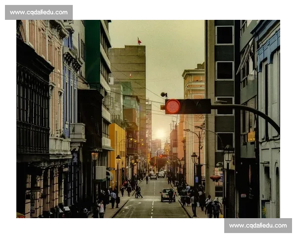 纽约城与芝加哥城市魅力大比拼探索两座城市的独特风貌与文化差异