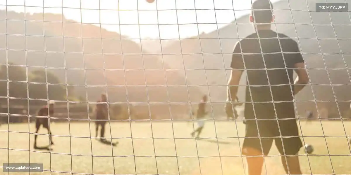 为什么选择我们